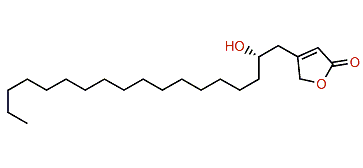 Erectusfuranone B